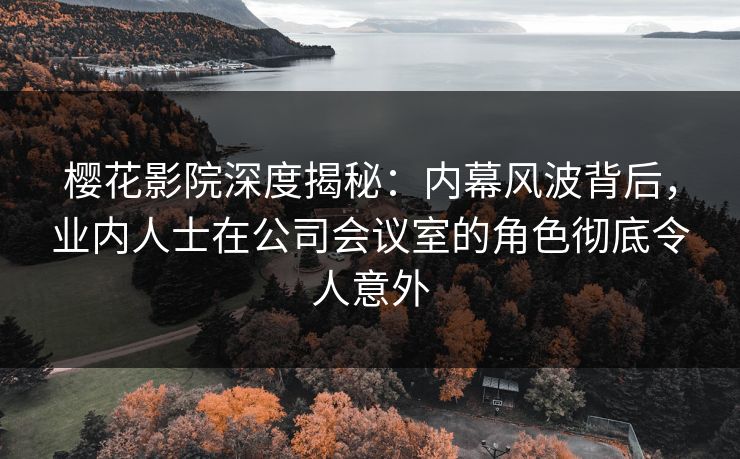 樱花影院深度揭秘：内幕风波背后，业内人士在公司会议室的角色彻底令人意外
