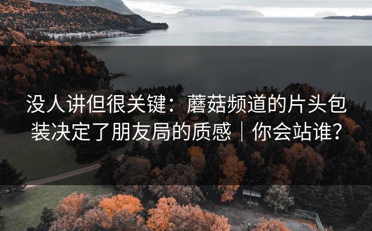 没人讲但很关键：蘑菇频道的片头包装决定了朋友局的质感｜你会站谁？